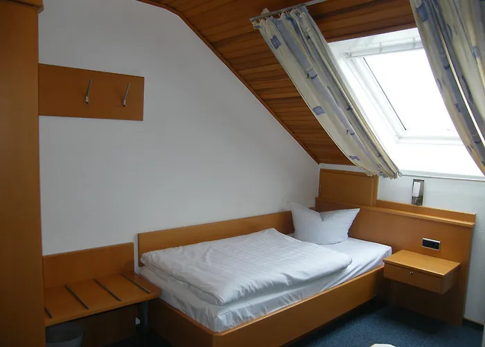 Pfeifferling Pensión 2*