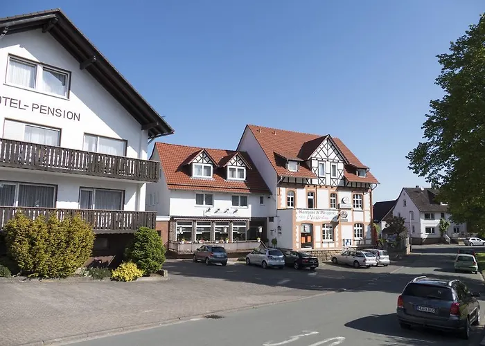 Pfeifferling Pensión 2*