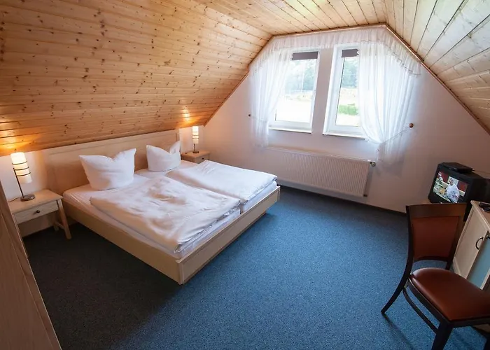 Pfeifferling Pensión 2*